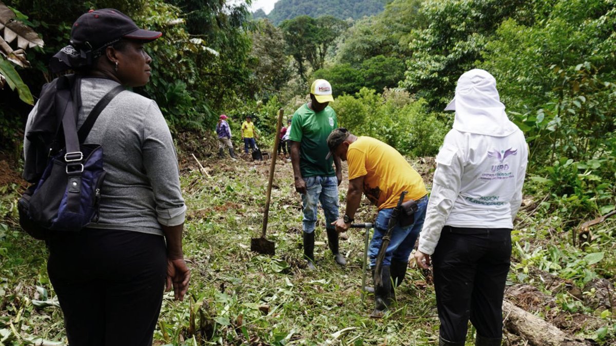 Un grupo de investigadores y habitantes del sector que trabajan en la recuperación de restos mortales de cinco desaparecidos, en una zona rural de Tadó departamento de Chocó (Colombia).