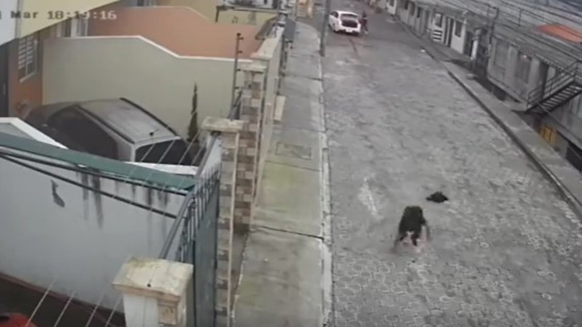 Al salir de la cajuela la víctima cayó al piso. Un hombre disparó al aire.