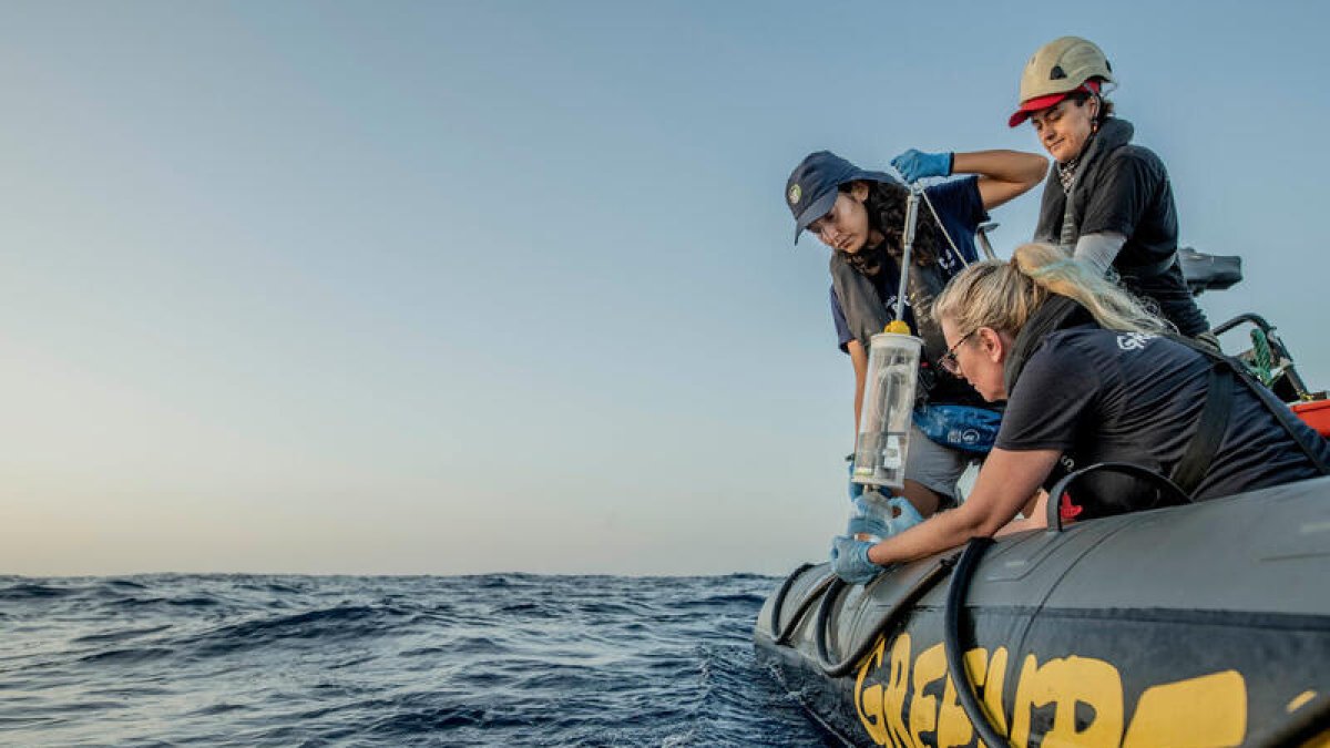La investigación en aguas de la Reserva Marina de Galápagos permitirá documentar los efectos de los esfuerzos de protección.