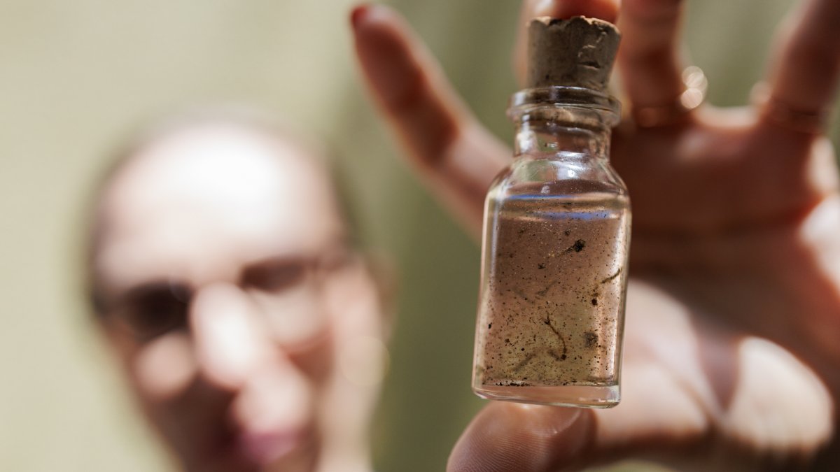 Un miembro de un equipo de vigilancia epidemiológica sostiene un frasco con larvas del mosquito del dengue Aedes aegypti, el 26 de febrero 2024, en São Paulo (Brasil).