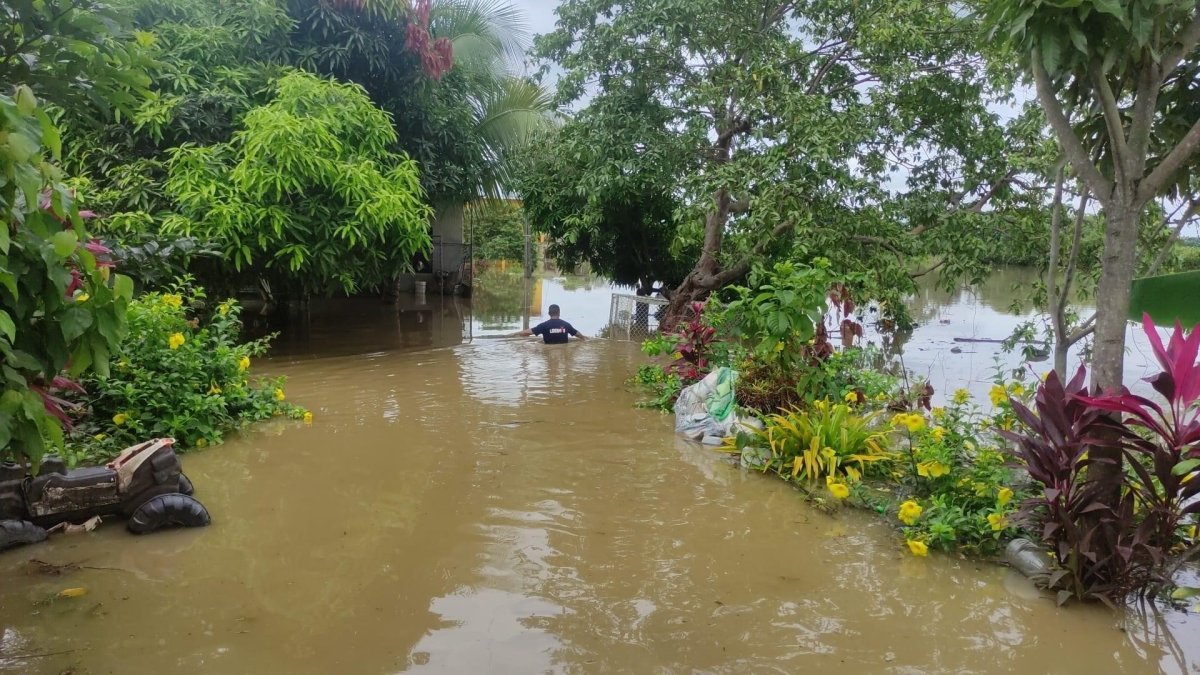 Campo. Los Ríos es la segunda provincia más golpeada por las lluvias, son 4.256 hectáreas de cultivos afectados.