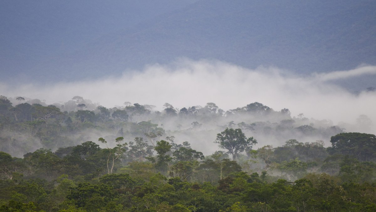 Los investigadores crearon panteteína en agua y a temperatura ambiente utilizando moléculas formadas a partir de cianuro de hidrógeno.