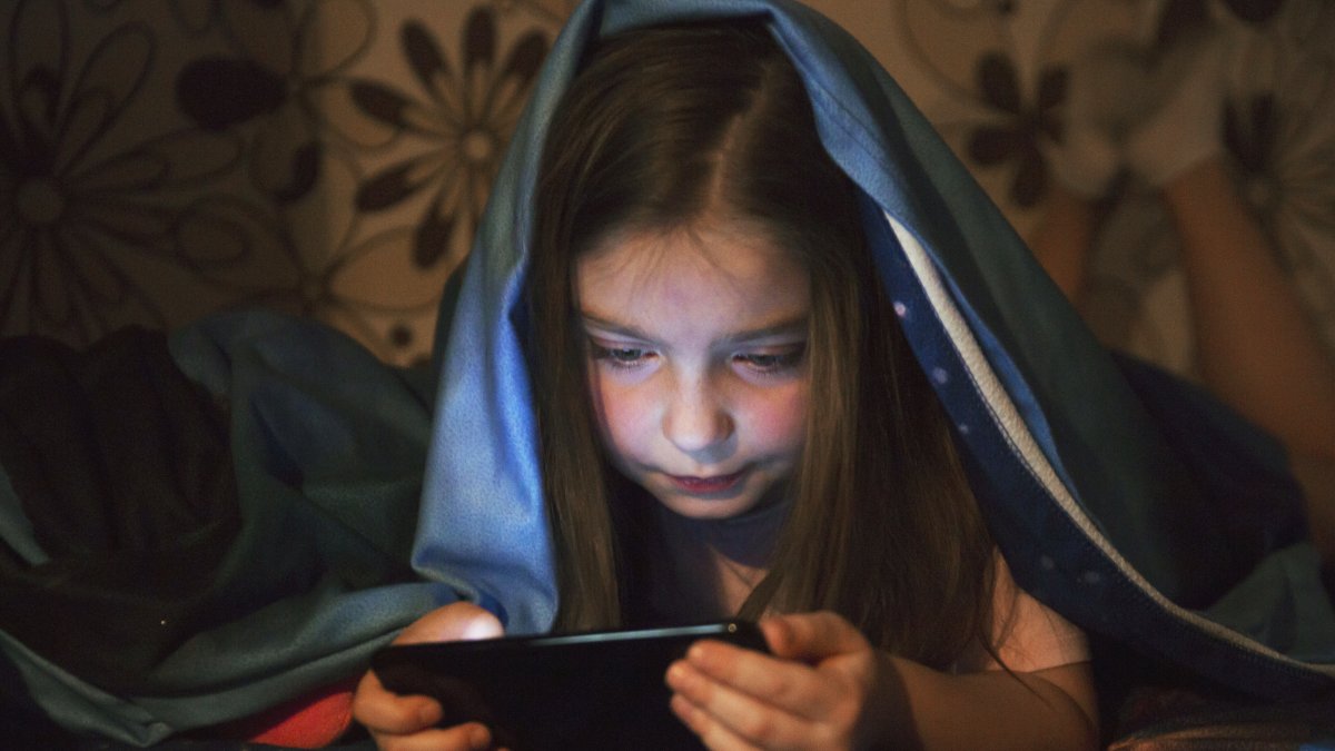 Es indispensable que consideres sus necesidades.