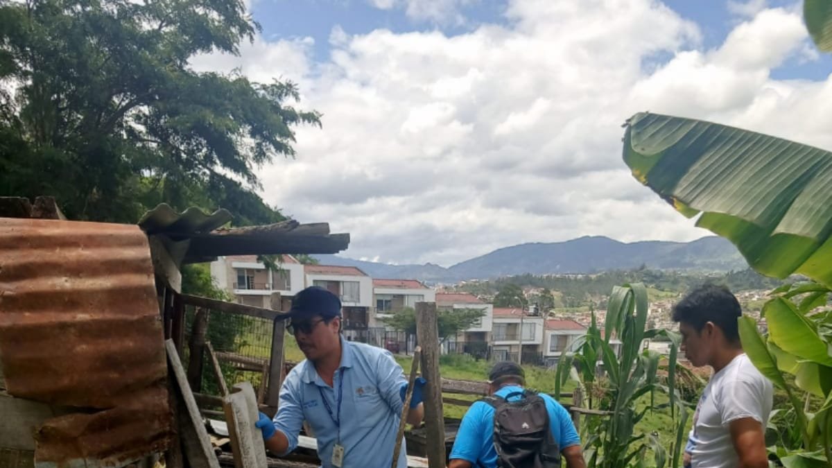 Ministerio de salud inicia campaña de fumigación y prevención contra el dengue