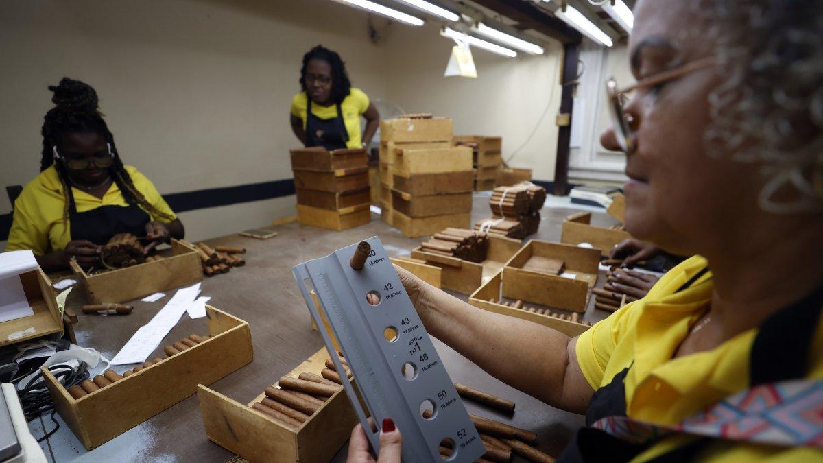 Trabajadores de la Fábrica de Tabacos Cohiba realizan sus labores este jueves en La Habana (Cuba).