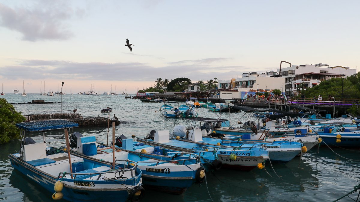 Naves.- Un grupo de botes en un embarcadero  en la isla Santa Cruz del archipiélago de Galápagos (Ecuador). 