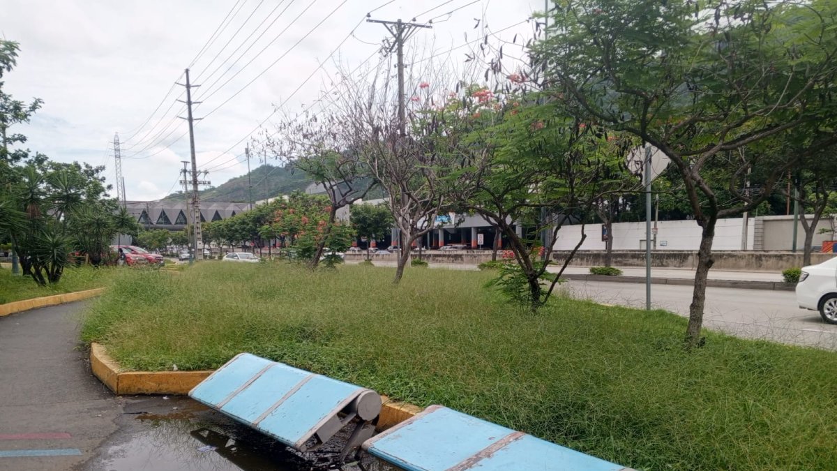 Estado. Así se encuentra una de las bancas.