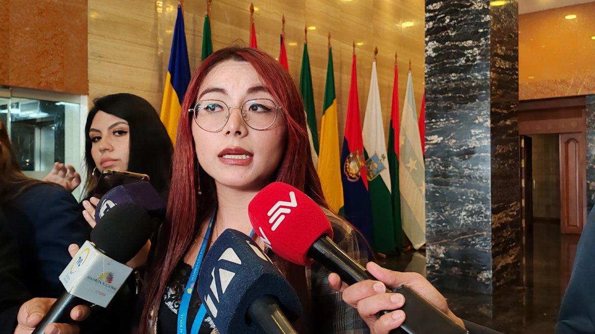 Nathaly Farinango, asambleísta de ADN.