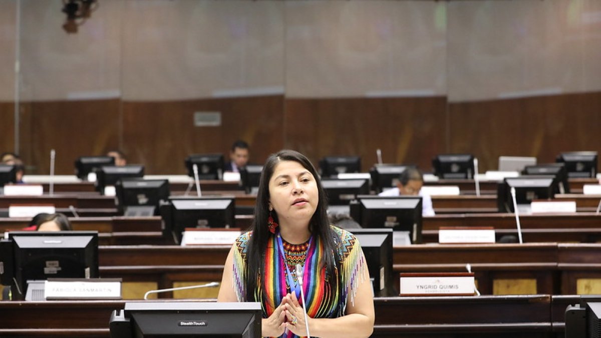 La asambleísta Luzmila Abad. Imagen para graficar este artículo relacionado con la paridad de género en la política.