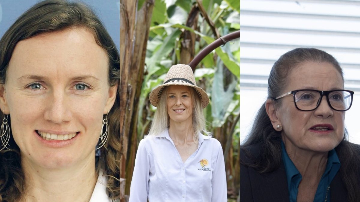 Mujeres profesionales destacan dentro y fuera de Ecuador.