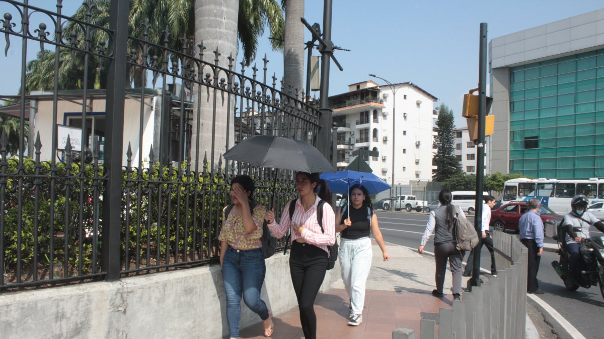 Necesidad. Ante el inclemente sol y el calor que se registra en Guayaquil, los paraguas y sombreros se han vuelto parte de las prendas diarias de los guayaquileños..