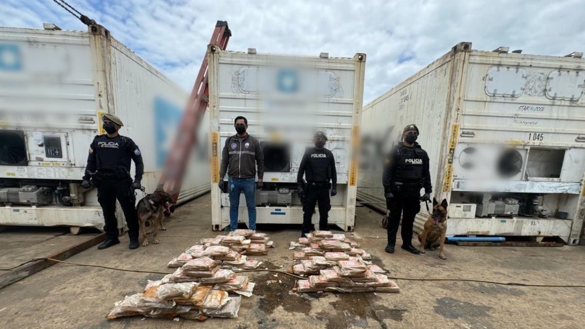 Canes antidrogas participaron del operativo que halló los paquetes de cocaína.