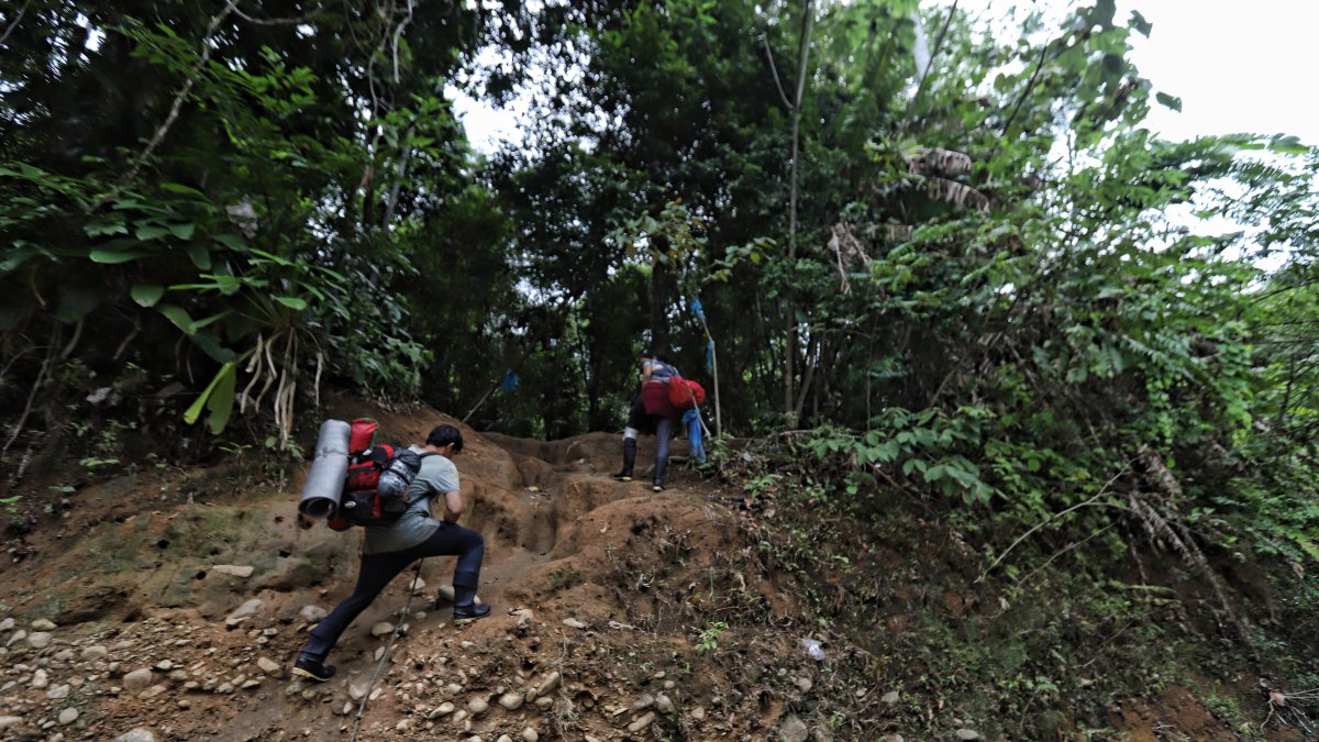 Peligro. Cientos de personas han perdido la vida en esta selva.