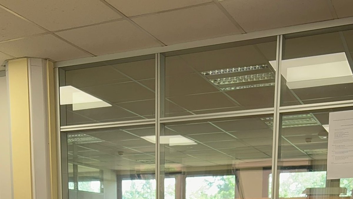 La ministra de Ambiente, Sade Fritschi, deberá comparecer ante el Pleno de la Asamblea Nacional.