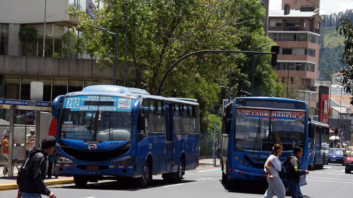 Muchos de los buses rebasan a otros cuando están en las paradas. Otros, en cambio, se quedan mucho tiempo y esto genera congestión.