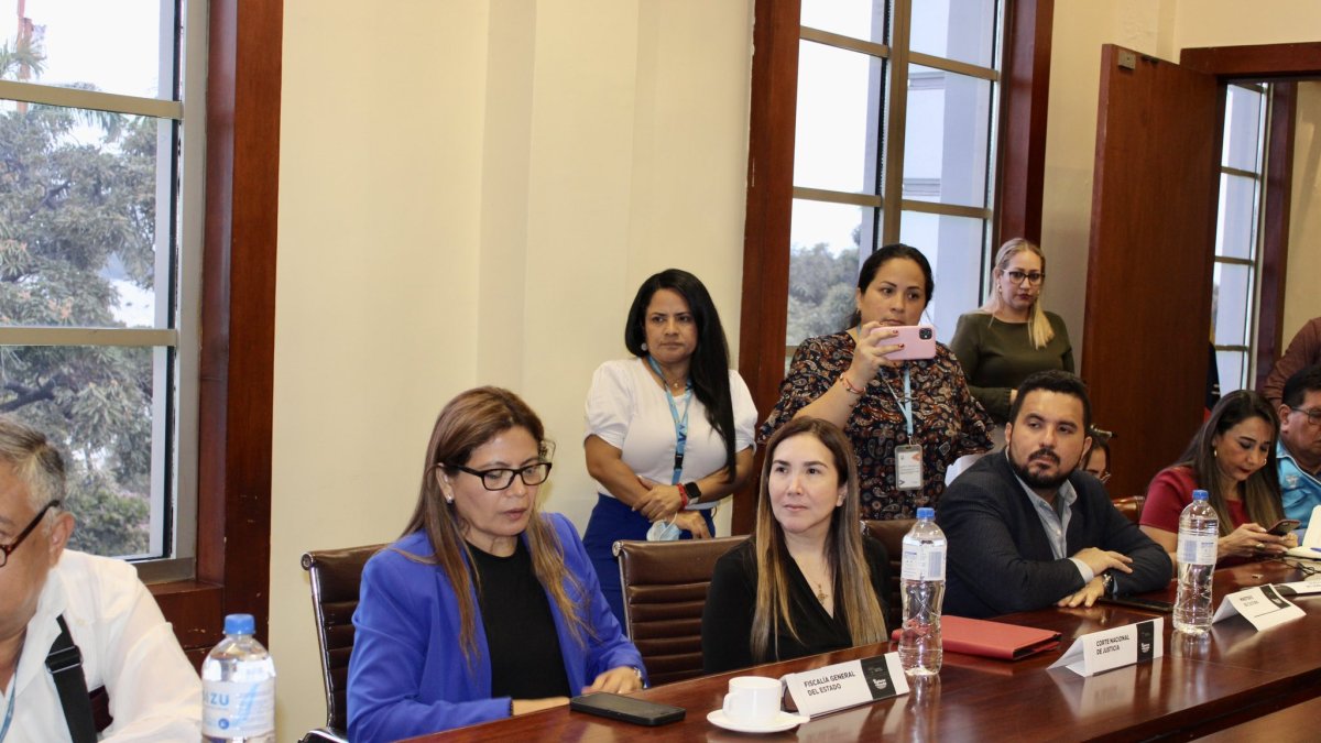 Caso. Desde la izquierda: la fiscal del Guayas Yanina Villagómez es investigada por el caso Metástasis y la jueza Fabiola Gallardo por Purga.
