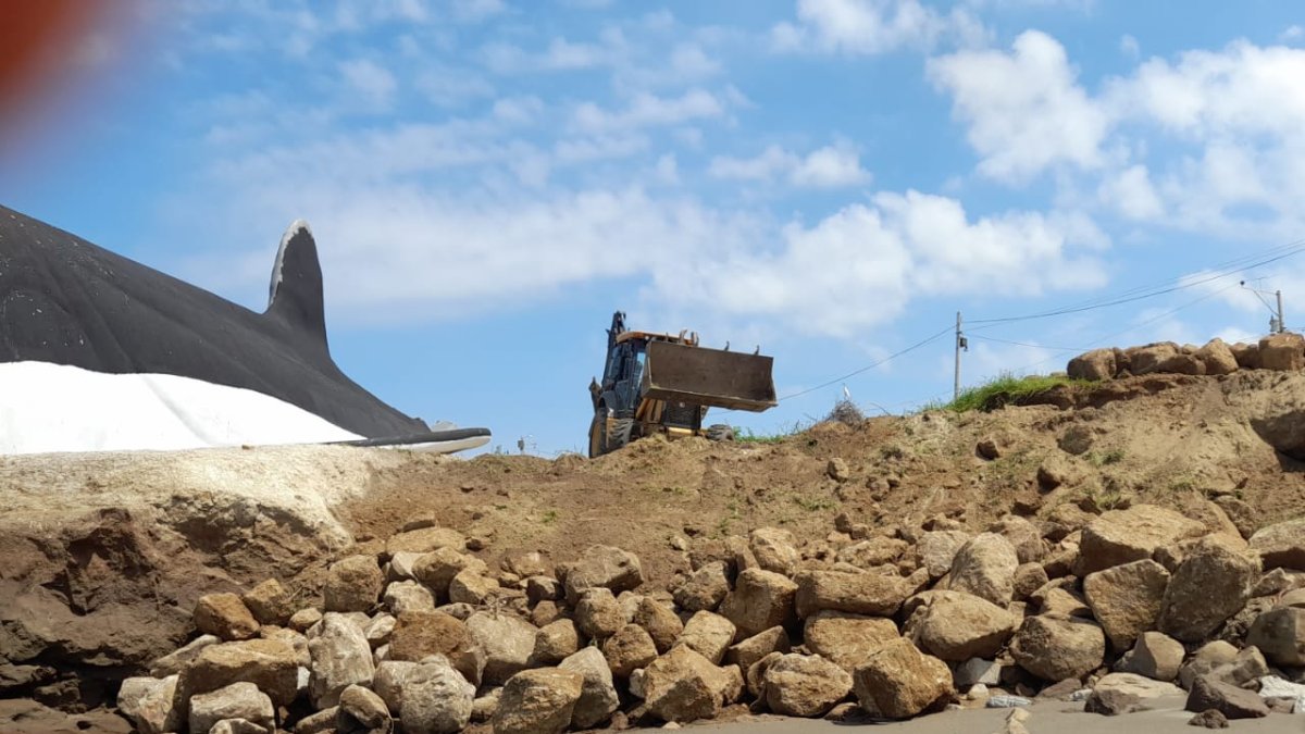 En Playa Delfín, la comuna empezó a colocar el material con el que se levantará el muro.