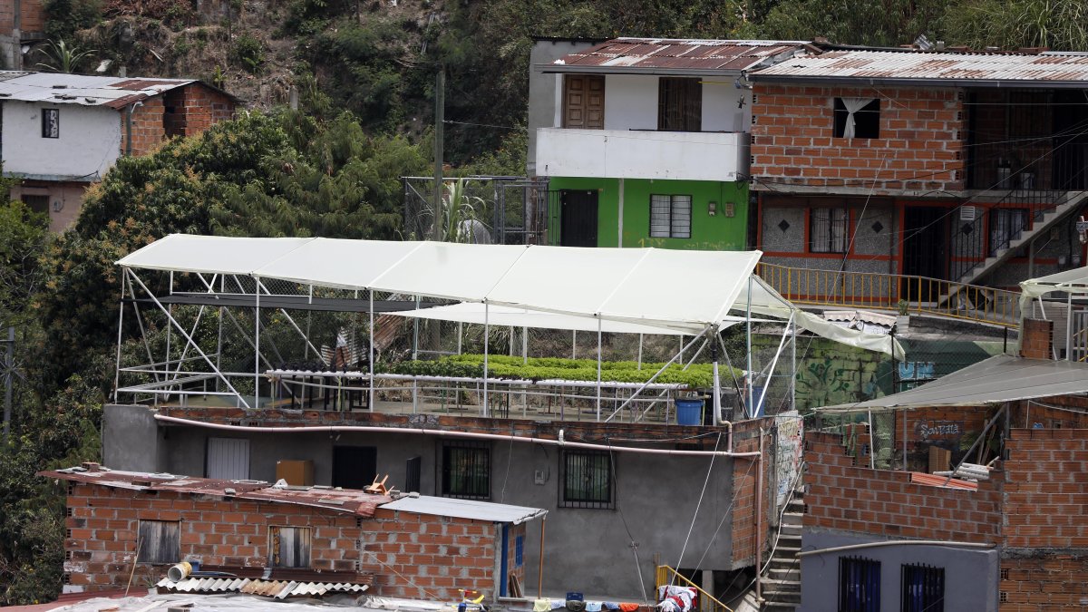 Un cultivo de hortalizas y lechugas en una terraza de la comuna 13