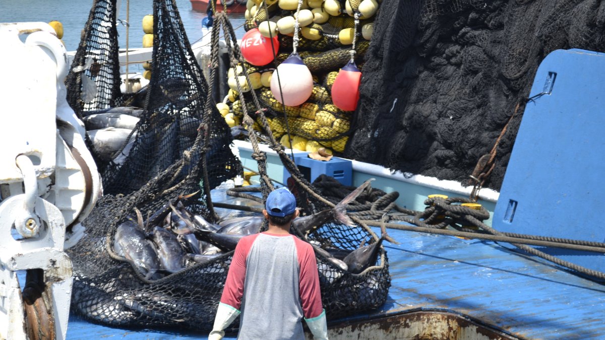 Buque de pesca industria de atún.