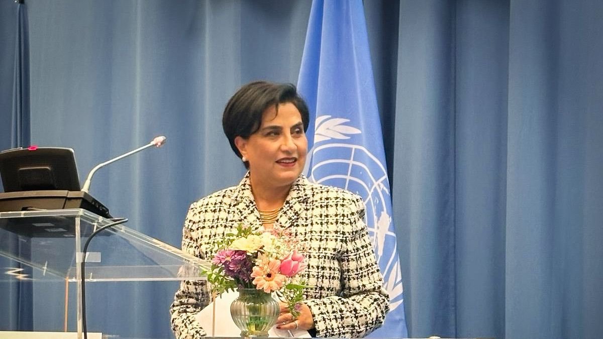 La canciller Gabriela Sommerfeld durante su intervención en la comisión.