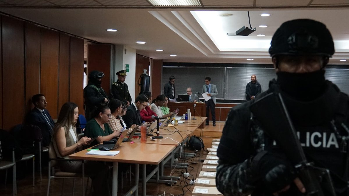 La fiscal Diana Salazar habló de que Ronny Aleaga actuó para 