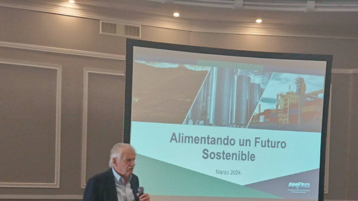 Exposición. Christian Wahli expuso las falencias del sector.