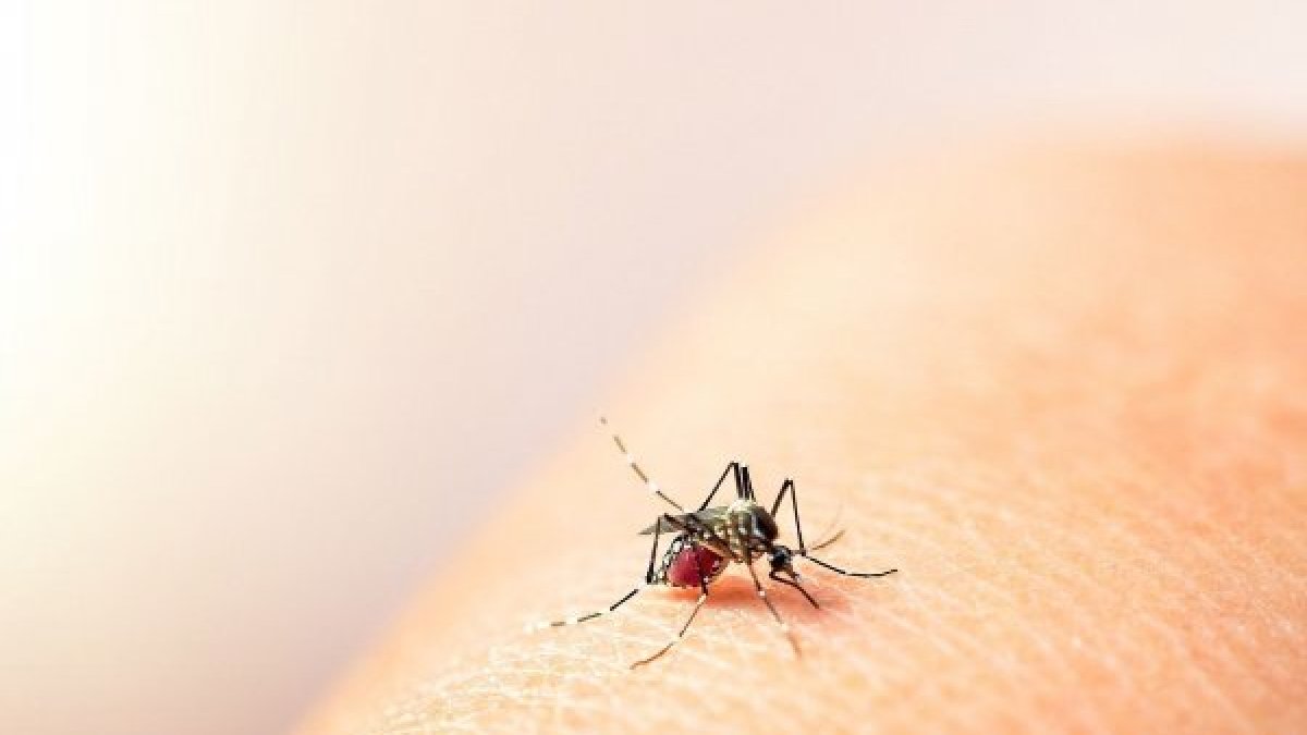 El Ministerio de Salud expuso las cifras de esta enfermedad.