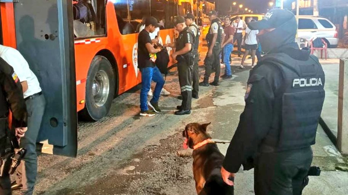 Martín, el perro policía fue clave en el operativo para encontrar el alcaloide.