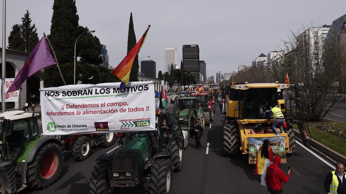Varios tractores y manifestantes participan en una nueva concentración de agricultores y ganaderos en Madrid este domingo.