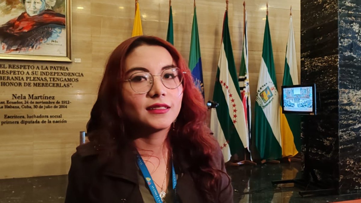 Nathaly Farinango, presidenta de la Comisión de Régimen Económico