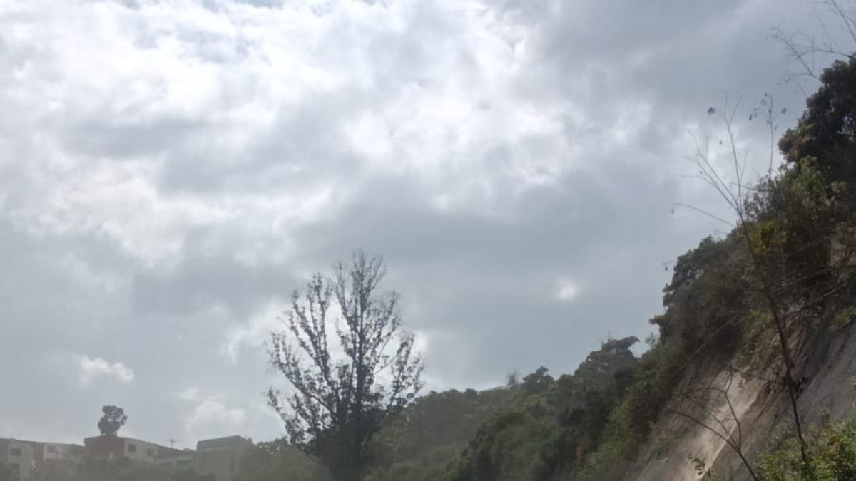 Trabajadores realizan trabajos de limpieza en la calzada.