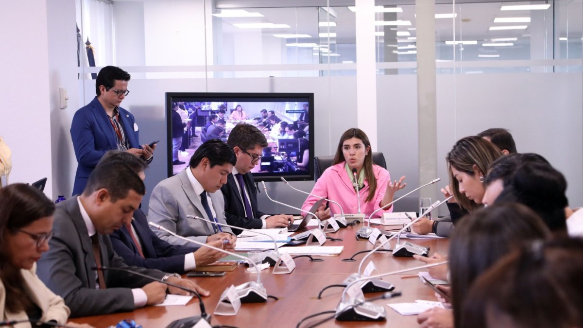 El pasado 23 de febrero de 2024, el presidente de la República, Daniel Noboa, envió la propuesta legal a la Asamblea Nacional.