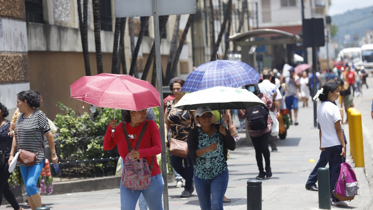 En Guayaquil hace falta sombra natural. En los últimos días, los ciudadanos se cubren del sol con paraguas.