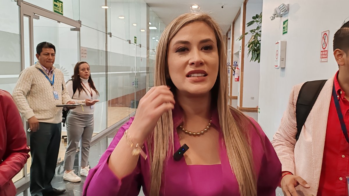 Nicole Bonifaz, presidenta del Cpccs.