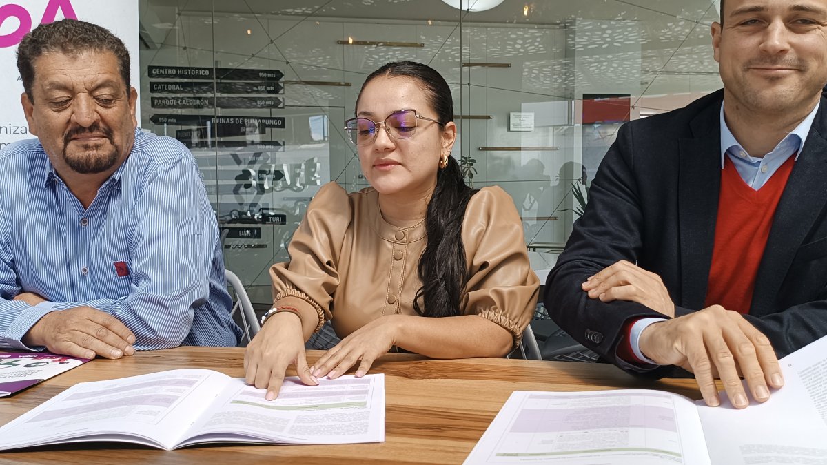 Ana Gómez, de la Organización MEGA, explicó que la violencia política por cuestiones de género es difícil llegar a un proceso llegar debido a la dificultad que implica presentar la denuncia del caso.