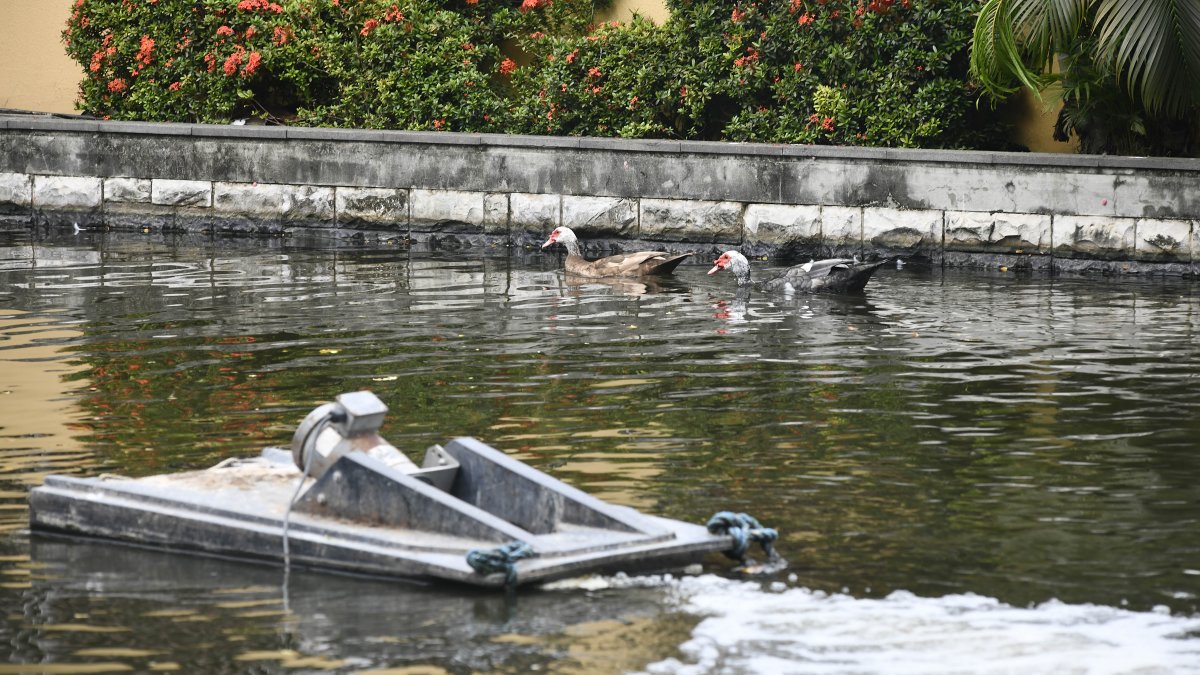 Aumentar la frecuencia del ingreso de agua fresca a la laguna en el Malecón es otra de las medidas.,