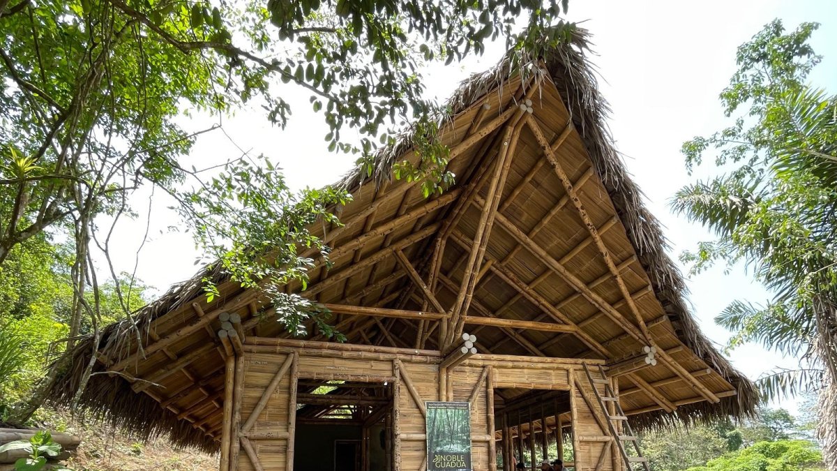 Este trabajo beneficia a 200 artesanos de siete comunas