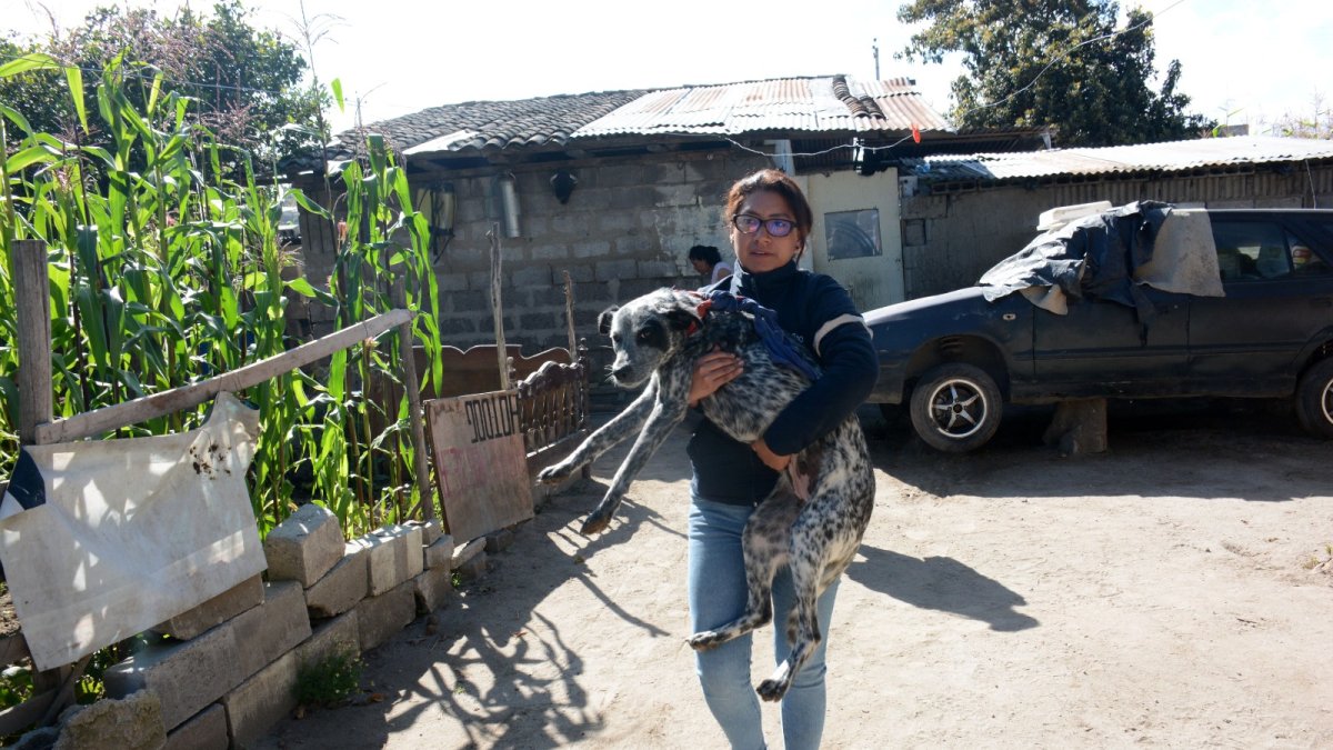 María Belén Chuquimarca rescató a dos perros que estaban amarrados dentro de un predio ubicado en Llano Grande. Otros tres canes se quedaron en la vivienda.