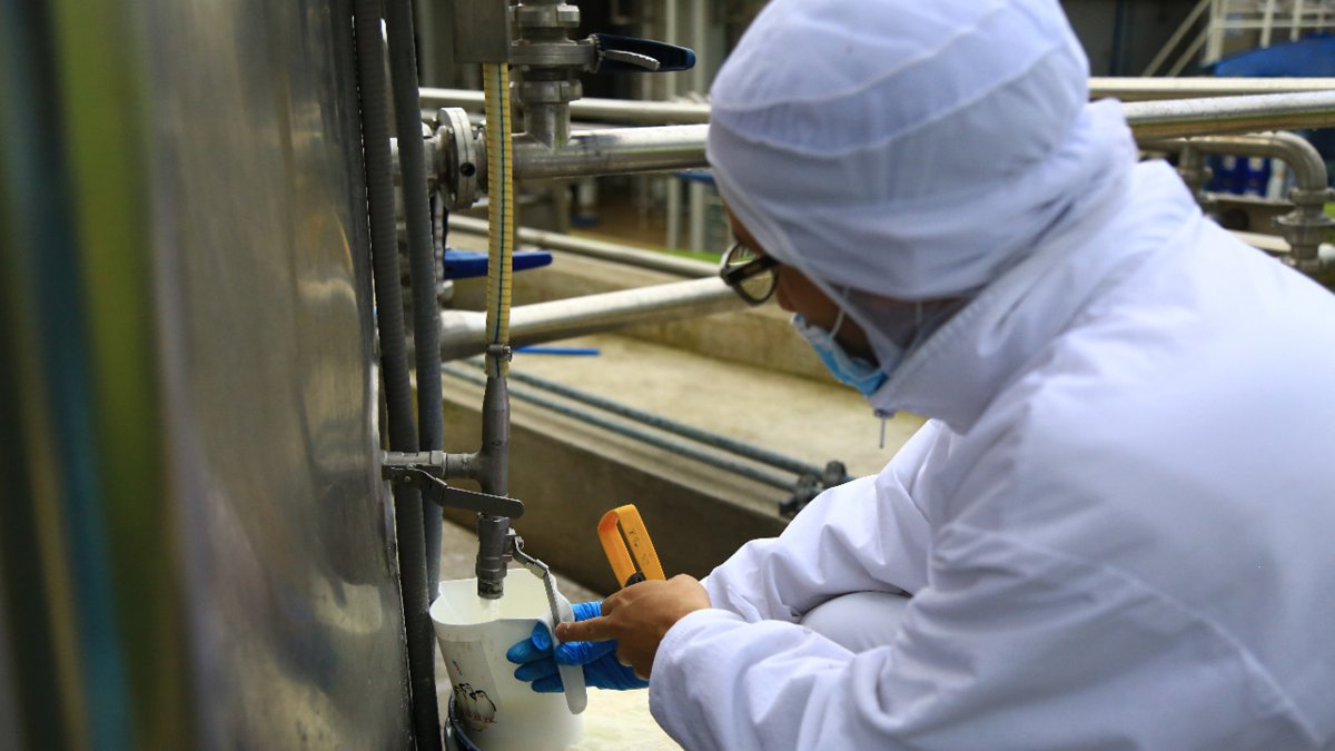 Los industriales aseguran que el sector realiza análisis periódicos, tanto a la leche que llega desde las fincas a sus plantas de producción como a los productos terminados.