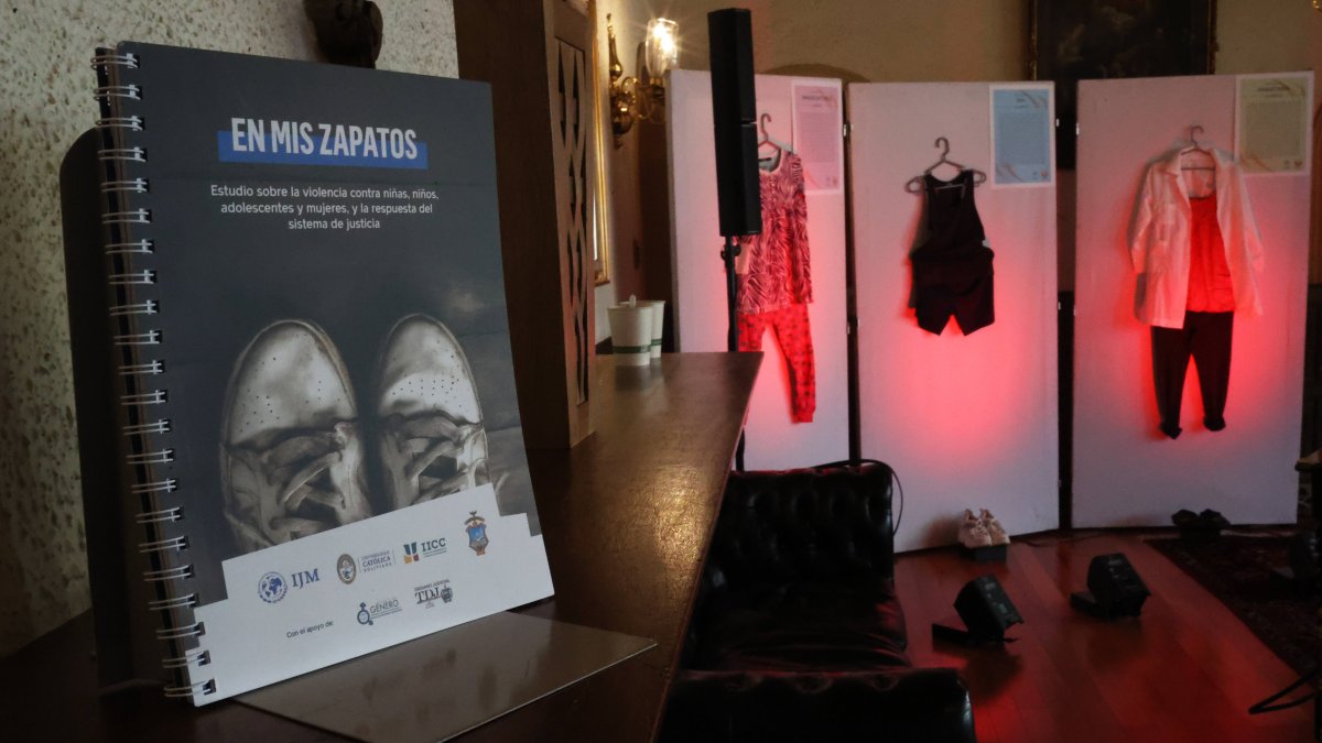 Uun librillo que contiene un estudio sobre violencia sexual denominado 