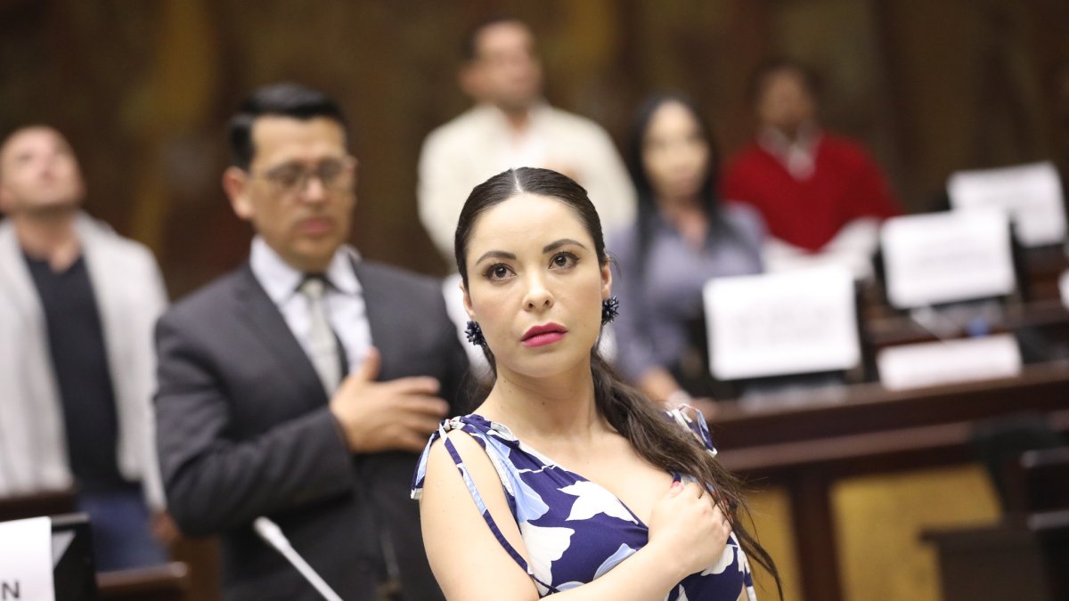 Pamela Aguirre en la sesión del jueves 21 de marzo.