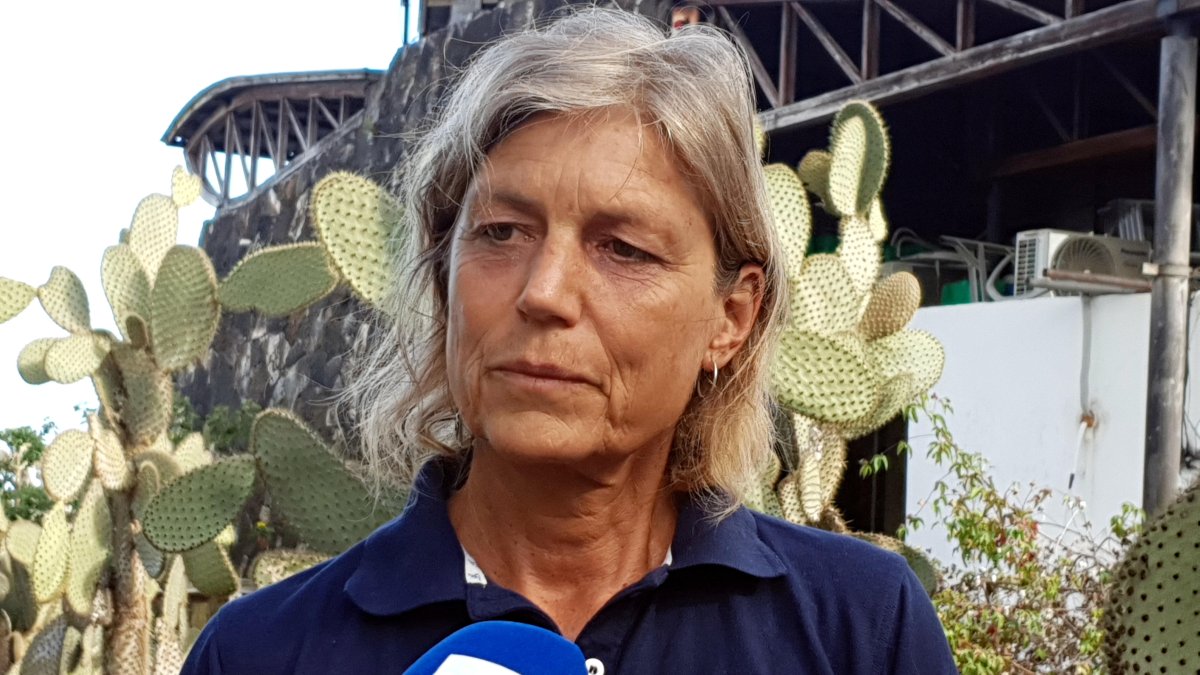 El estudio, realizado en la isla Santa Cruz, donde el bosque de Scalesia comprende solo el 3 % de su distribución histórica