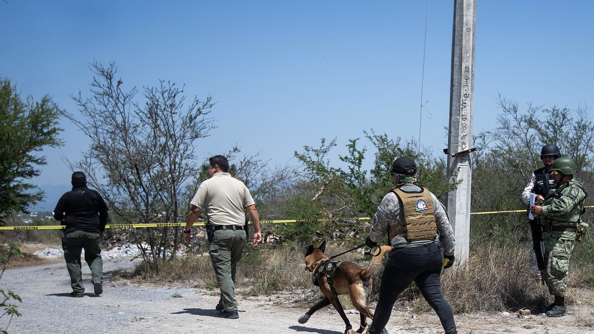 Integrantes de la fiscalía estatal acompañados de binomios caninos trabajan este jueves en la zona donde se localizaron cinco restos humanos en el municipio de Pesquería (México).