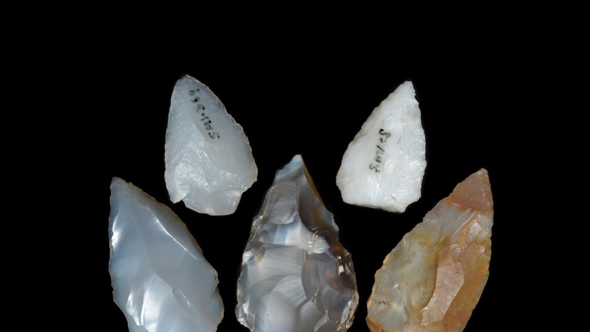 Vista de unas puntas de proyectil del yacimiento arqueológico Shinfa-Metema 1 (Etiopía), que datan de la época de la supererupción del Toba, hace 74.000 años.