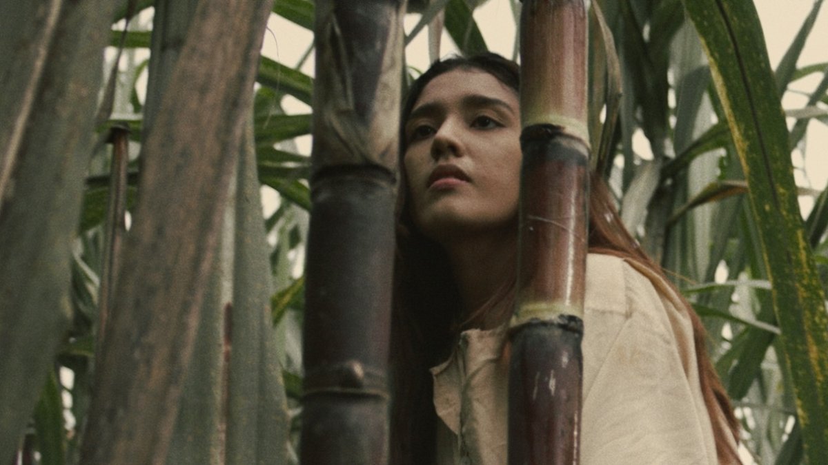 Lugar. El rodaje tuvo lugar en uno de los pocos bosques primarios en la cordillera occidental de los Andes del Ecuador.