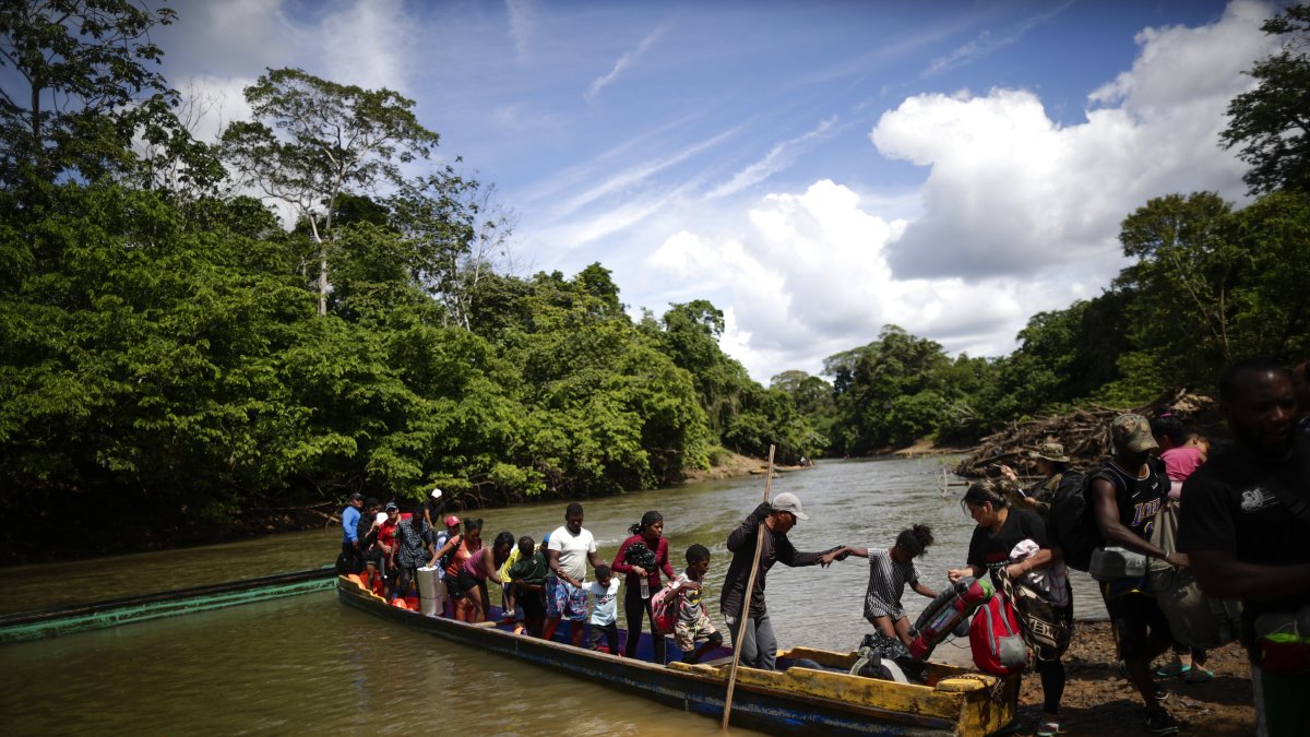 Cientos de migrantes se han aventurado por esta selva en lo que va del 2024.
