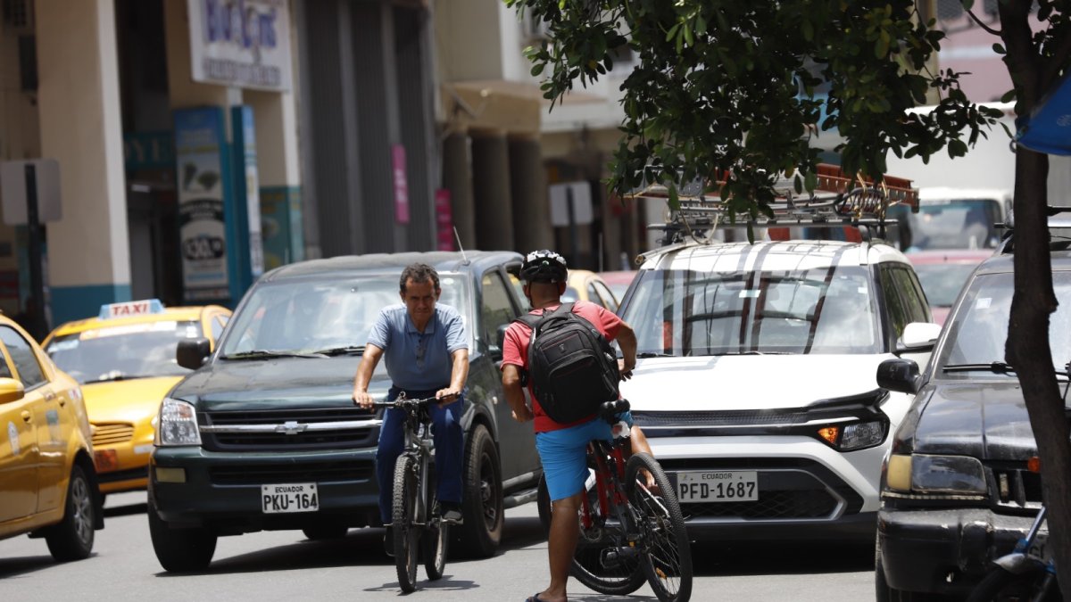 En Clemente Ballén y Lorenzo de Garaycoa, un ciclista pasa por alto el hecho de que la vía es de un solo sentido.