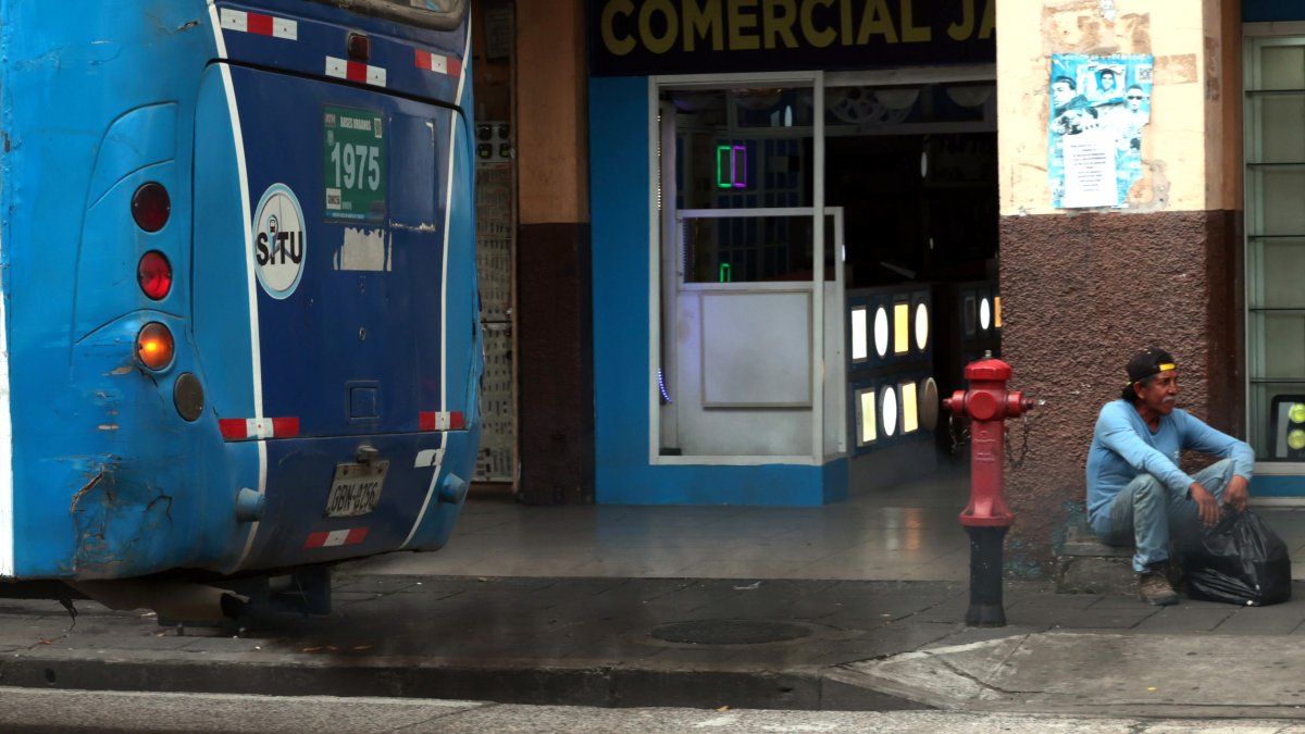 Uno de los reclamos más recurrentes apunta al smog que generan las unidades.