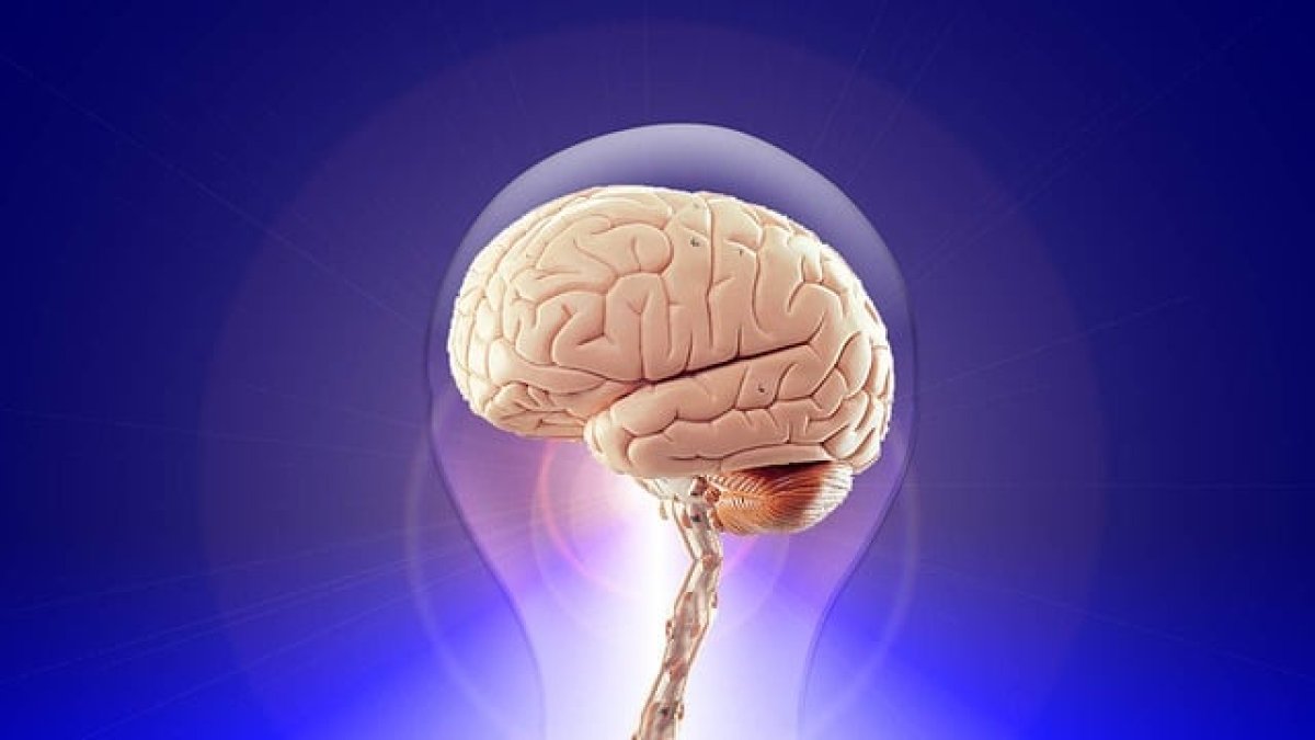 La memoria es la capacidad de los seres humanos para aprender, evocar y almacenar la información aprendida.