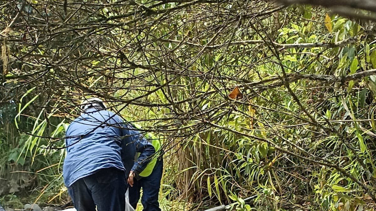 Derrame de petróleo en sector Sardinas, en Napo.